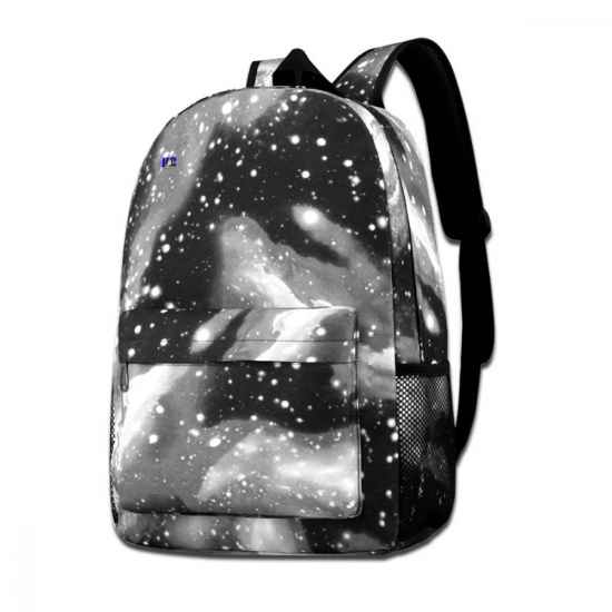 School Backpack 012